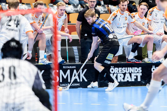 Helsingborgs Max Wahlgren