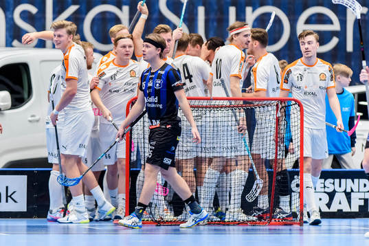 Helsingborgs Joel von Reis deppar
