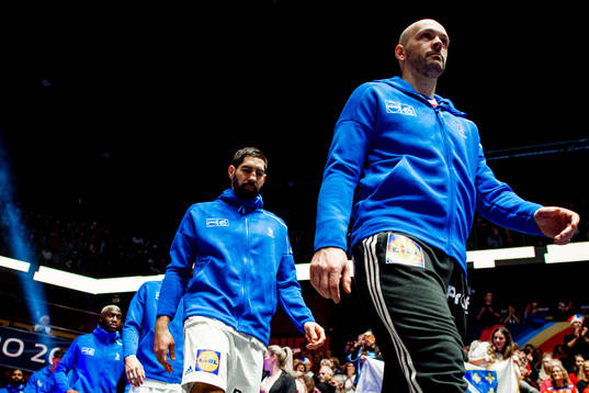 Nikola Karabatic and goalkeeper Vincent Gerard of France
