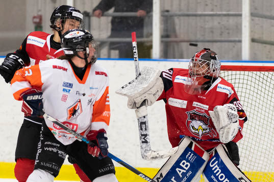 Malmö Redhawks målvakt Lisa Sellberg Jensen