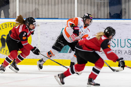 Karlskronas Romana Kosecka