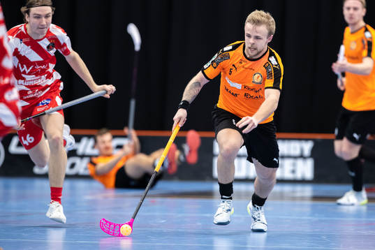 Höllvikens Felix Strandljung