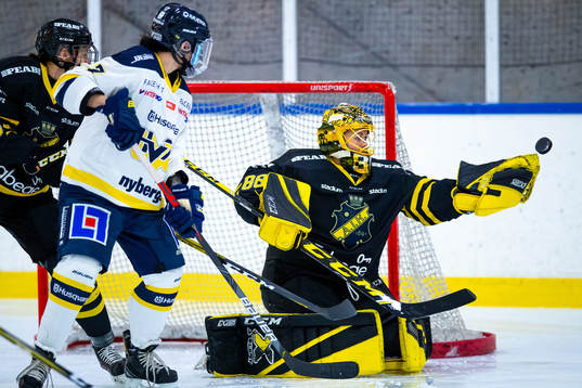 s målvakt Sabina Eriksson