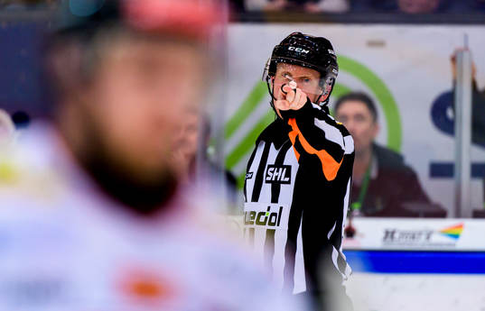Domare Mikael Holm