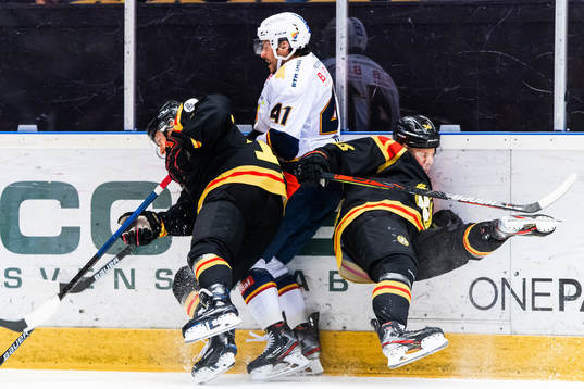 Bläddra bland fler bilder av Ishockey, SHL, Brynäs - Djurgården