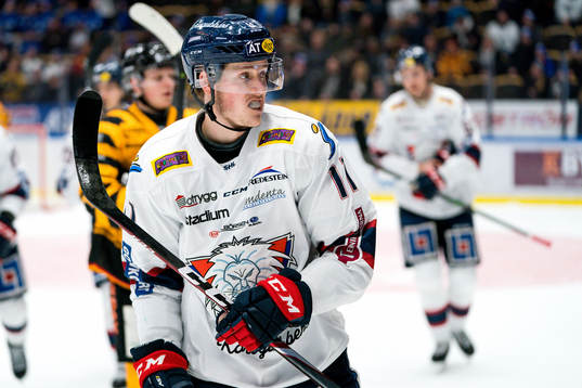 Linköping Henrik Törnqvist