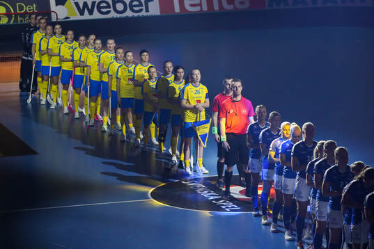 Sveriges spelare