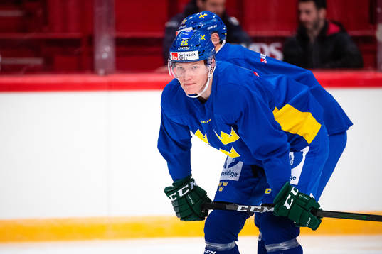 Gustav Rydahl