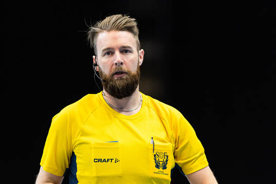 Domare Joakim Lindbratt
