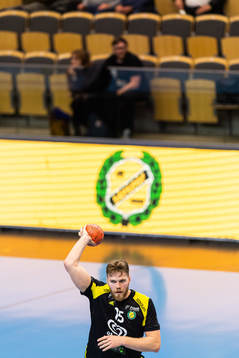 Sävehofs William Bogojevic