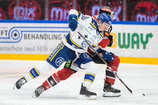 Leksands Martin Karlsson