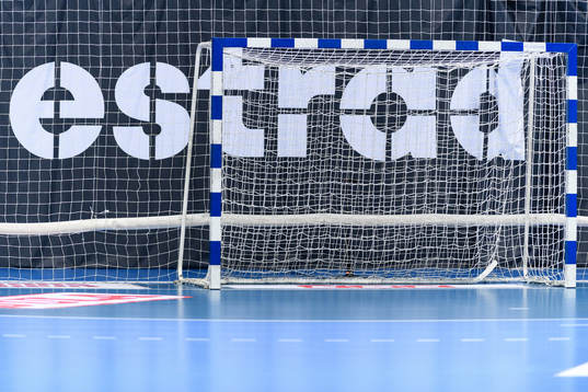 Ett handbollsmål med Estrads logga