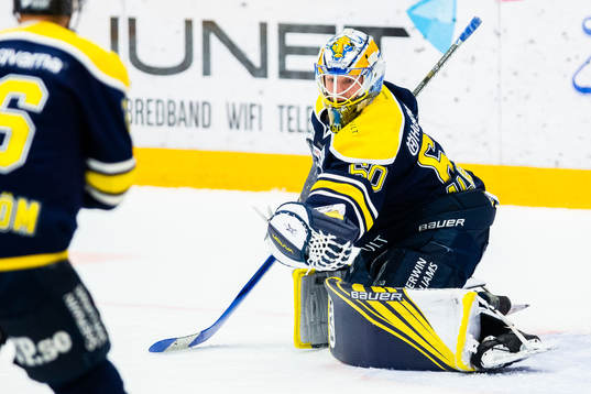 s målvakt Hugo Alnefelt