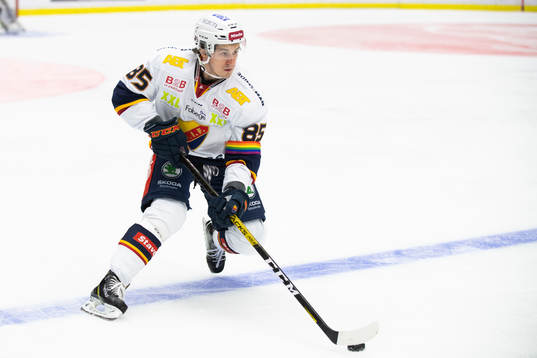 Djurgårdens Michael Haga