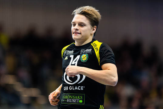 Sävehofs Henrik Rhåsson