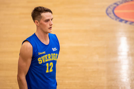 Sveriges Ludvig Håkansson