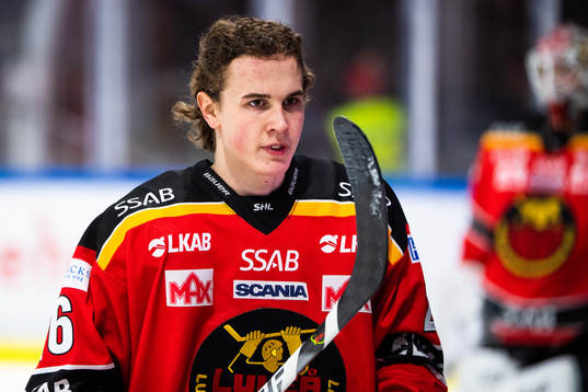Luleås Radek Muzik
