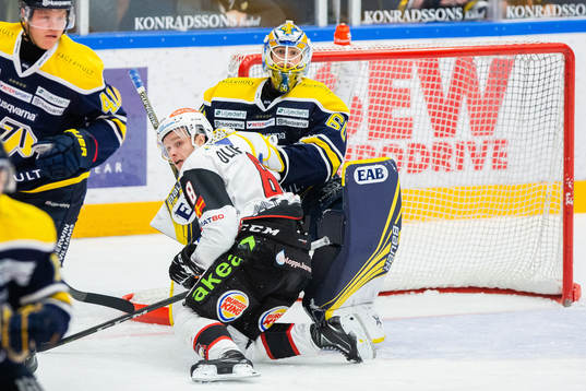 s målvakt Hugo Alnefelt