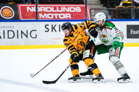 Skellefteås Jonathan Pudas och Rögles Mattias Sjögren