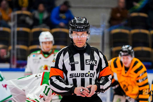 Domare Tobias Björk
