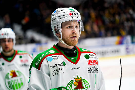 Rögles Ted Brithén