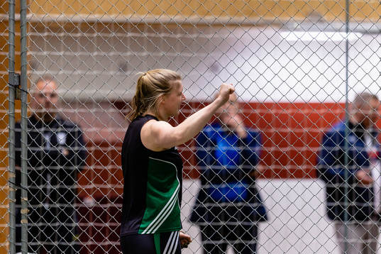 Ida Storm, Malmö AI