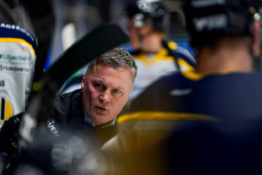Hv71s tränare Stephan Lundh