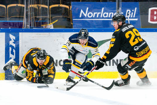 Skellefteås Rickard Hugg och Albin Sundsvik