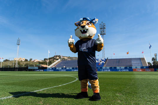 The mascot (yet to be named) of Toppserien