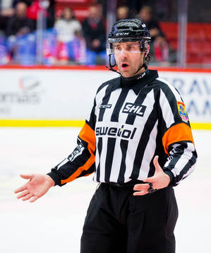 Domare Mikael Sjöqvist