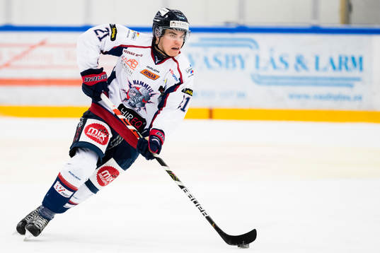 Halmstads Ludvig Nilsson