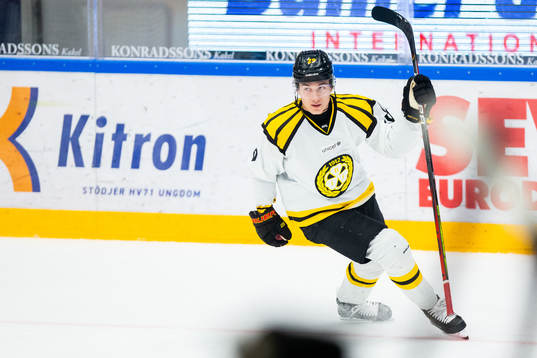 Brynäs Oscar Birgerssoon