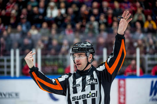 Domaren Richard Magnusson
