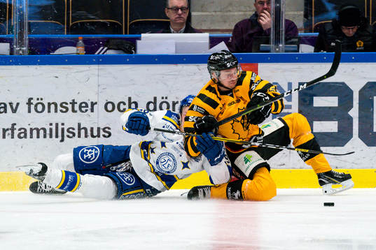 Skellefteås Adam Pettersson
