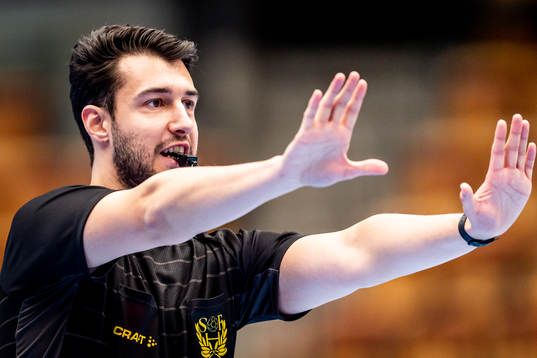 Domare Andrej Smailagic