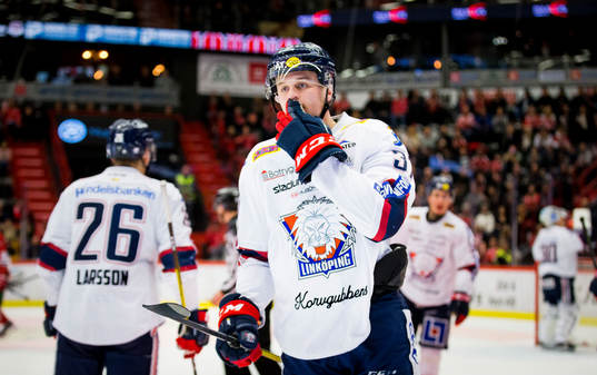 Linköpings Adam Ginning deppar