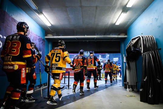 Djurgårdens och Luleås spelare