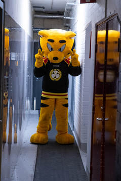 Brynäs tiger innan ishockeymatchen i SHL mellan Brynäs
