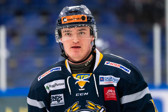 Borlänges Mikael Hansson