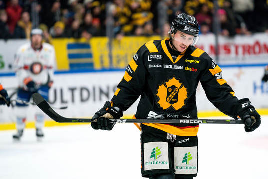 Skellefteås Darren Nowick deppar