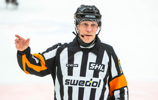 Domare Morgan Johansson