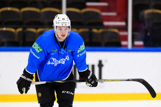 Anton Blidh, Boston Bruins