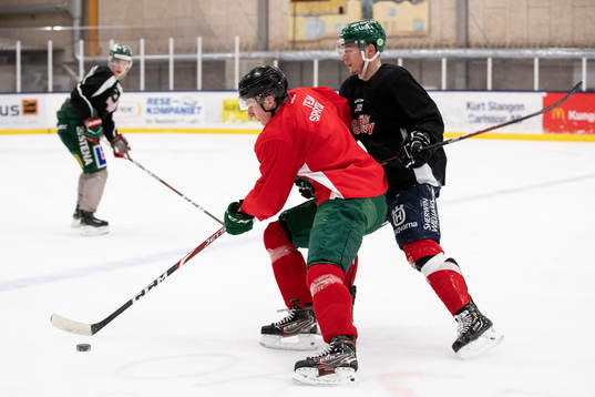 Bröderna Noah Andersson och Lias Andersson