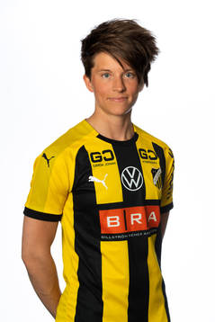 Karin From i häckens damlag