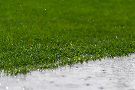 Regn på gräs