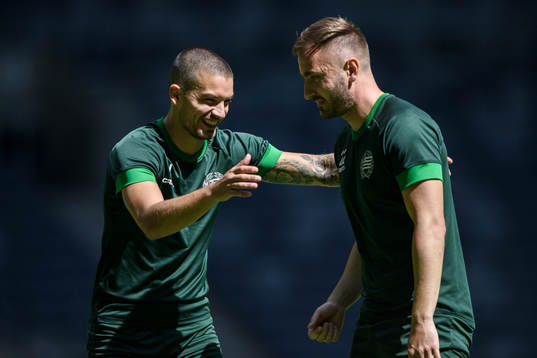 Hammarbys Vladimir Rodic och Muamer Tankovic