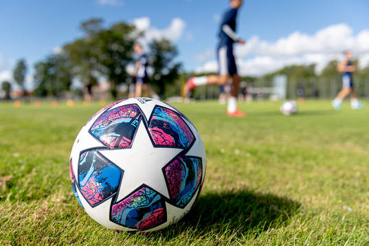 En fotboll ligger på gräsmattan