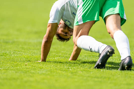 Klippans Dylan Gomli stretchar