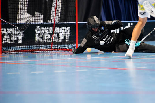 Helsingborgs målvakt Mattias Qvarfordt