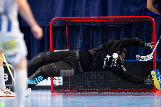 Helsingborgs målvakt Mattias Qvarfordt
